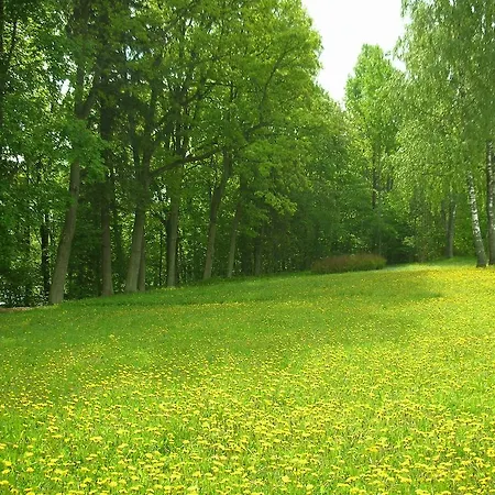 Dalderi Bīriņi